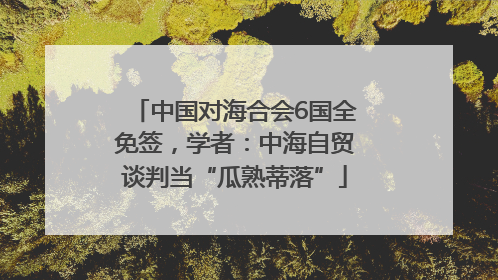 中国对海合会6国全免签，学者：中海自贸谈判当“瓜熟蒂落”
